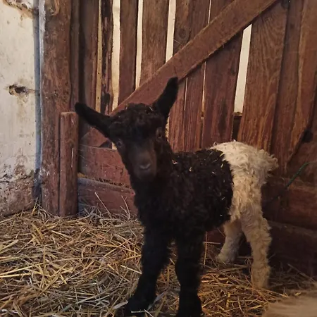 شقة Farma Dolik كافليتشكوف برود