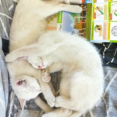 Farma Dolík *