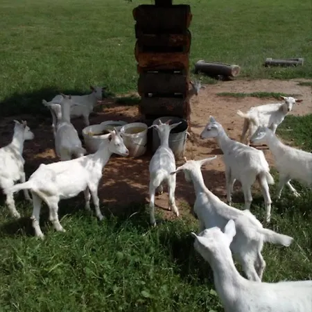 Farma Dolik شقة كافليتشكوف برود