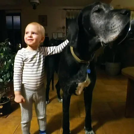 Farma Dolik * كافليتشكوف برود