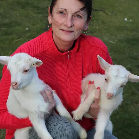 Farma Dolik شقة كافليتشكوف برود