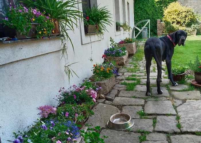 Apartman Farma Dolik Havlíčkŭv Brod